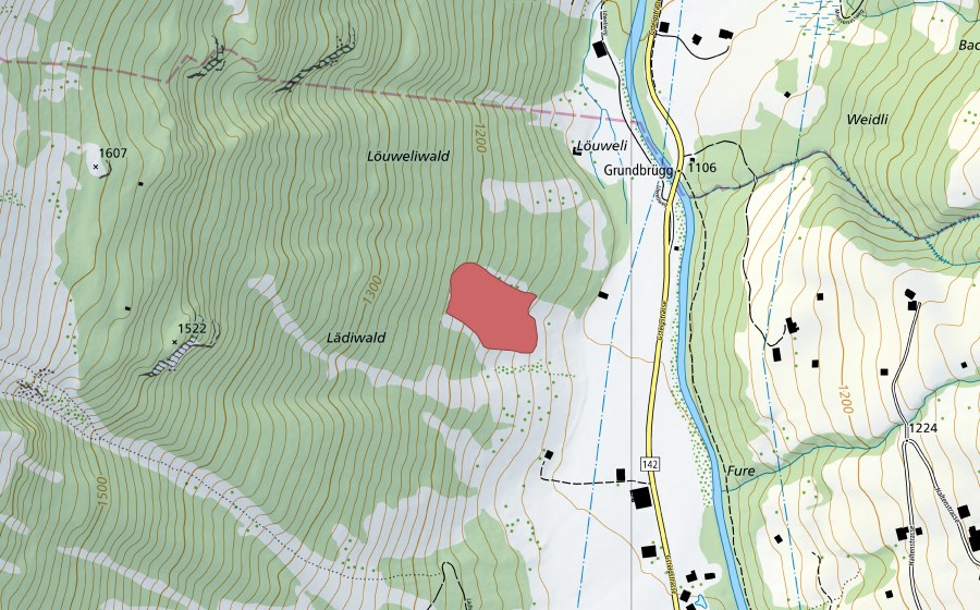 swisstopo national map showing the protected perimeter of Lädiwald (Dry meadow)