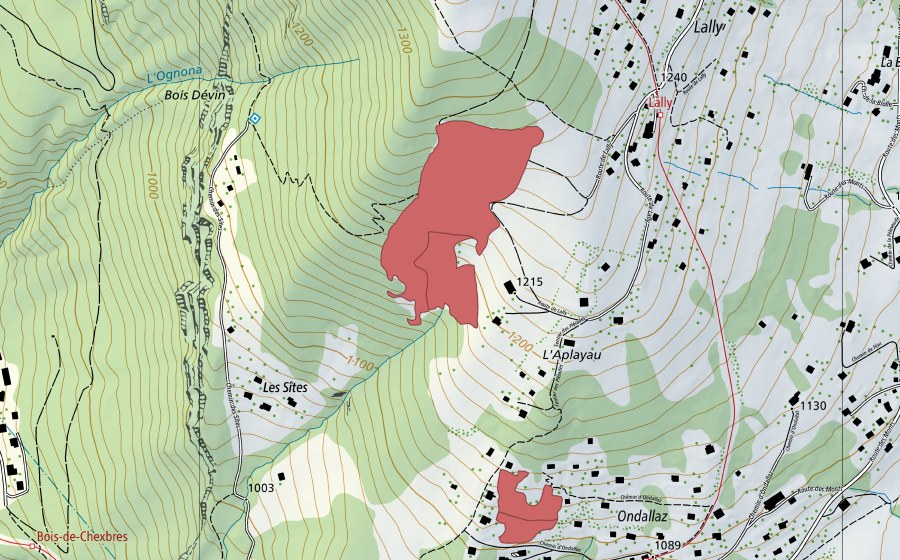 Carte nationale swisstopo avec le périmètre protégé de Lally (Prairie sèche)
