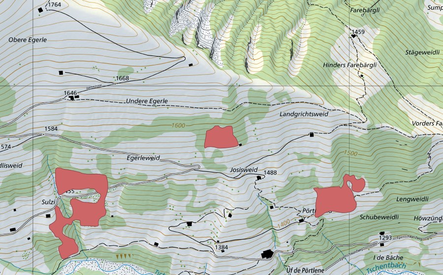 swisstopo national map showing the protected perimeter of Landgrichtsweid (Dry meadow)