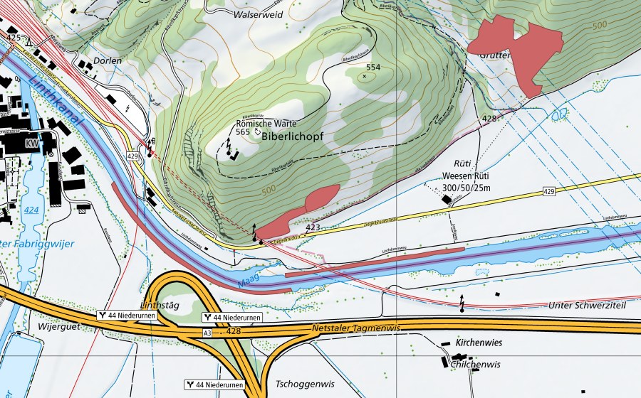 Landeskarte swisstopo mit dem Schutzperimeter von Landig (Trockenwiese)