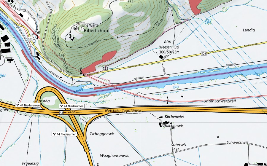 swisstopo national map showing the protected perimeter of Landig (Dry meadow)