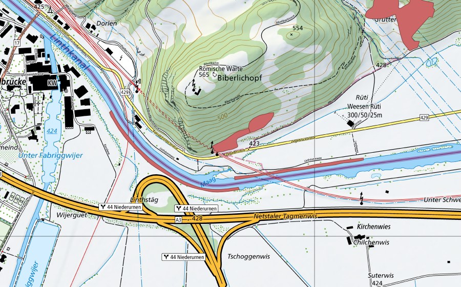 Landeskarte swisstopo mit dem Schutzperimeter von Landig (Trockenwiese)