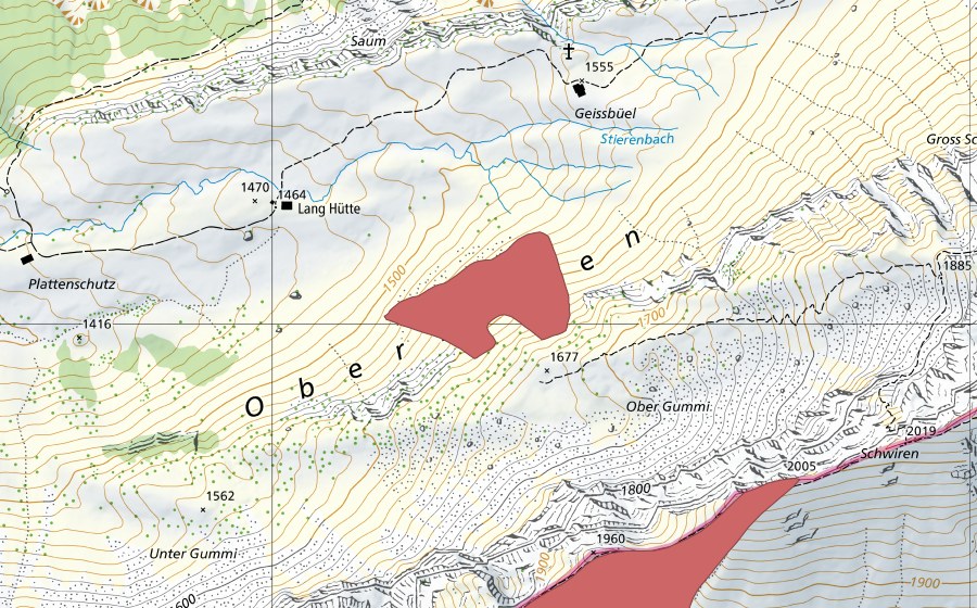 Carta nazionale swisstopo con il perimetro protetto di Lang Hütte (Prato secco)