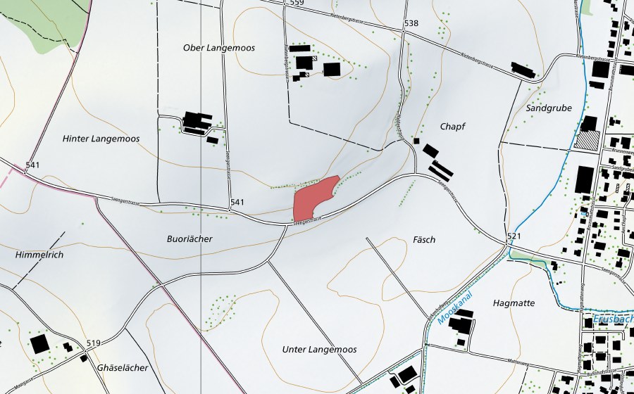 Landeskarte swisstopo mit dem Schutzperimeter von Langenmoos (Trockenwiese)