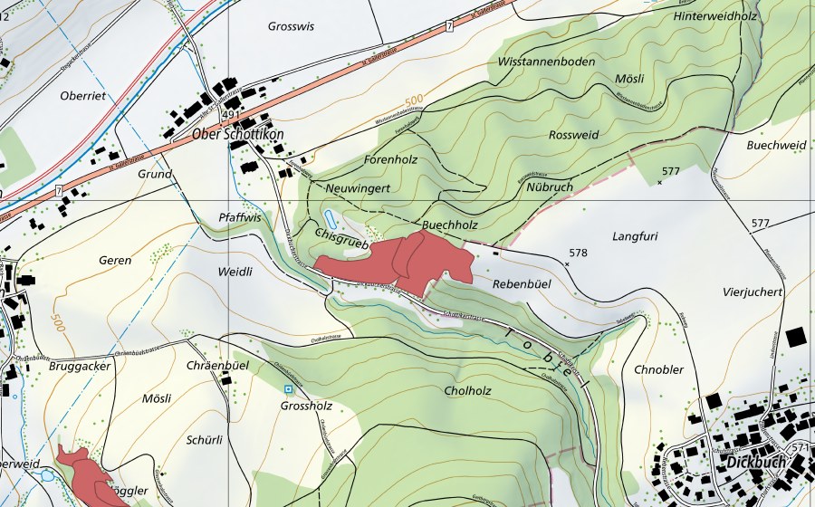 swisstopo national map showing the protected perimeter of Langfuri (Dry meadow)