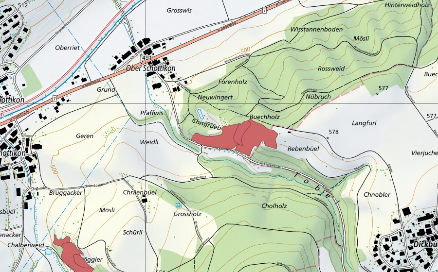 swisstopo national map showing the protected perimeter of Langfuri (Dry meadow)