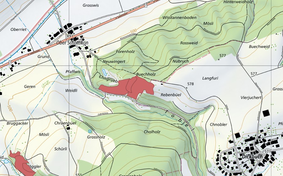 Landeskarte swisstopo mit dem Schutzperimeter von Langfuri (Trockenwiese)