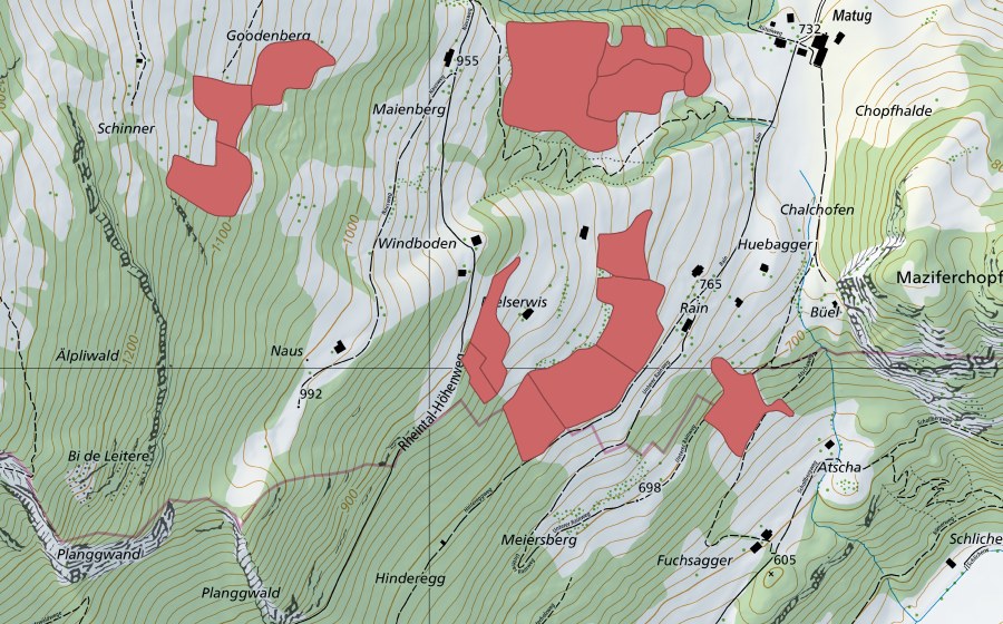 Landeskarte swisstopo mit dem Schutzperimeter von Langhalde (Trockenwiese)