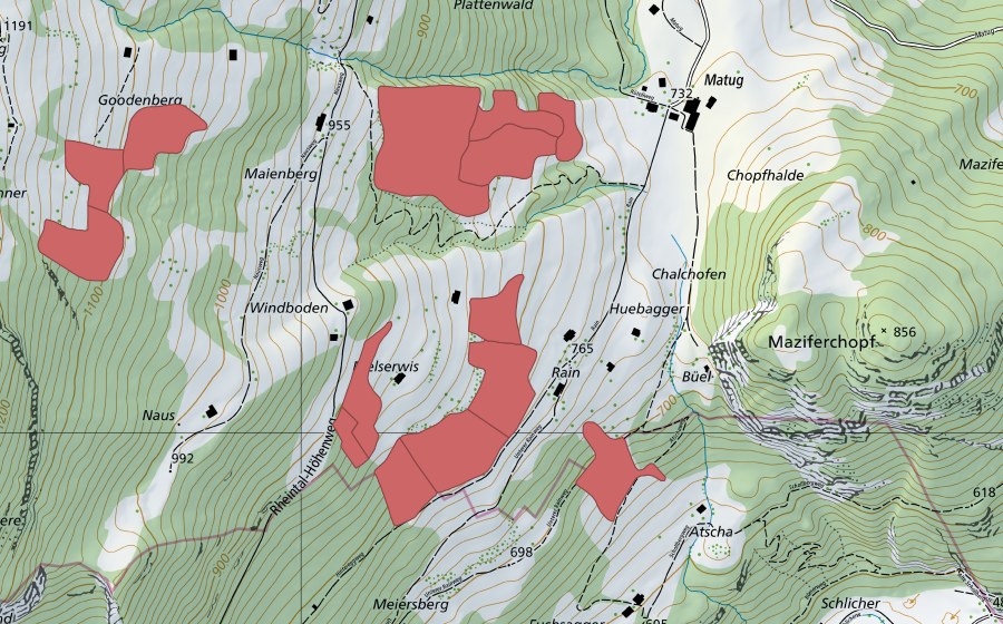 Landeskarte swisstopo mit dem Schutzperimeter von Langhalde (Trockenwiese)