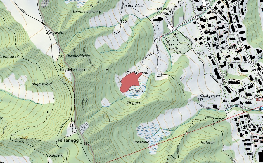 Landeskarte swisstopo mit dem Schutzperimeter von Langweid (Trockenwiese)