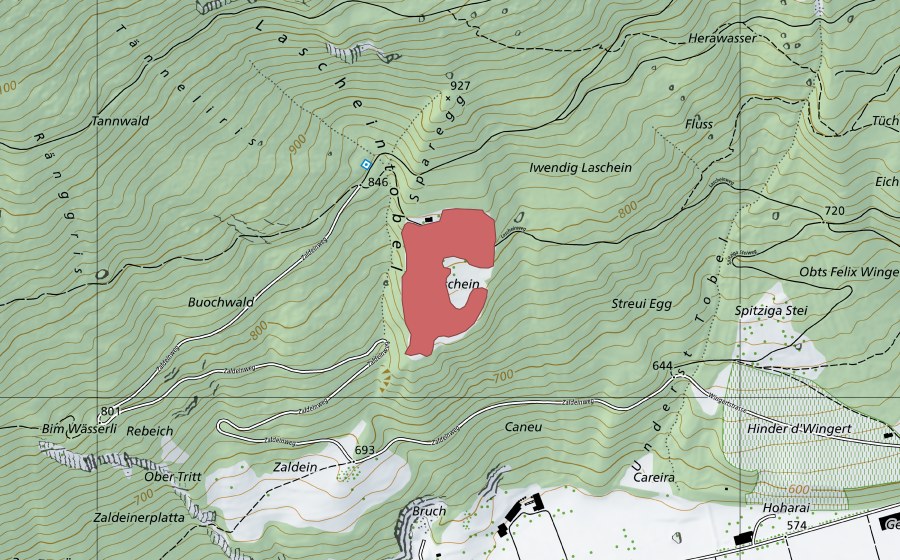 swisstopo national map showing the protected perimeter of Laschein (Dry meadow)