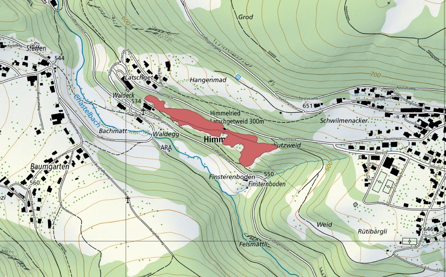 swisstopo national map showing the protected perimeter of Latschgetweid (Dry meadow)
