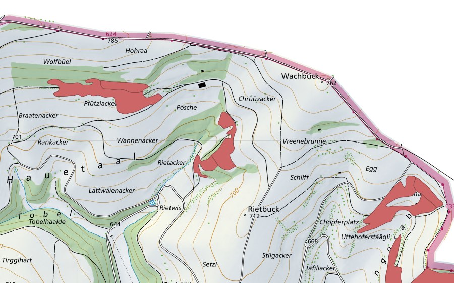 Landeskarte swisstopo mit dem Schutzperimeter von Lattweienacker (Trockenwiese)