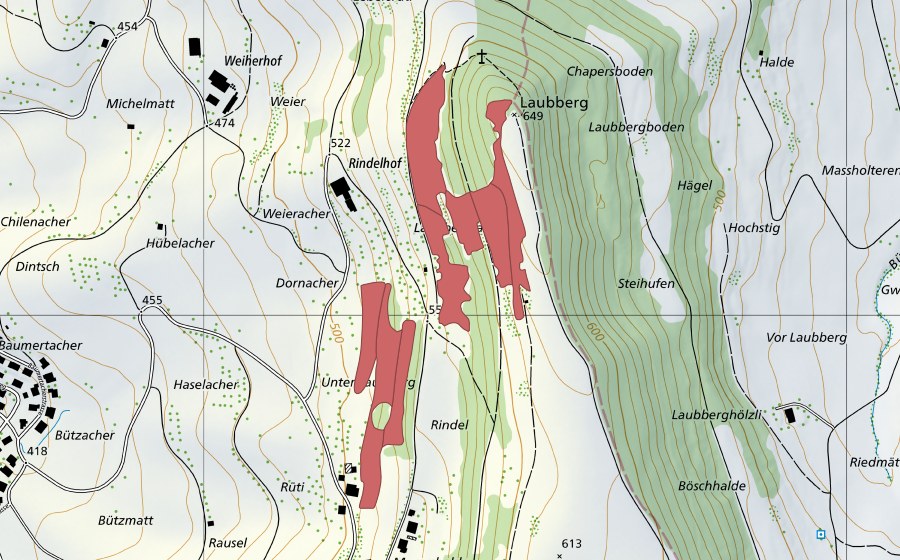 Landeskarte swisstopo mit dem Schutzperimeter von Laubberg (Trockenwiese)