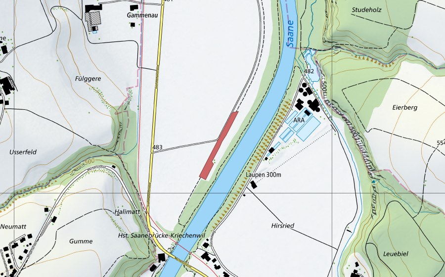 swisstopo national map showing the protected perimeter of Laupenau (Dry meadow)
