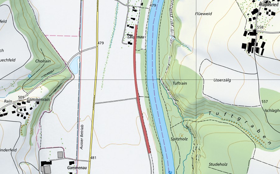 Carte nationale swisstopo avec le périmètre protégé de Laupenau (Prairie sèche)