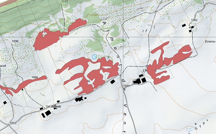 Landeskarte swisstopo mit dem Schutzperimeter von Le Barthélemy (Trockenwiese)