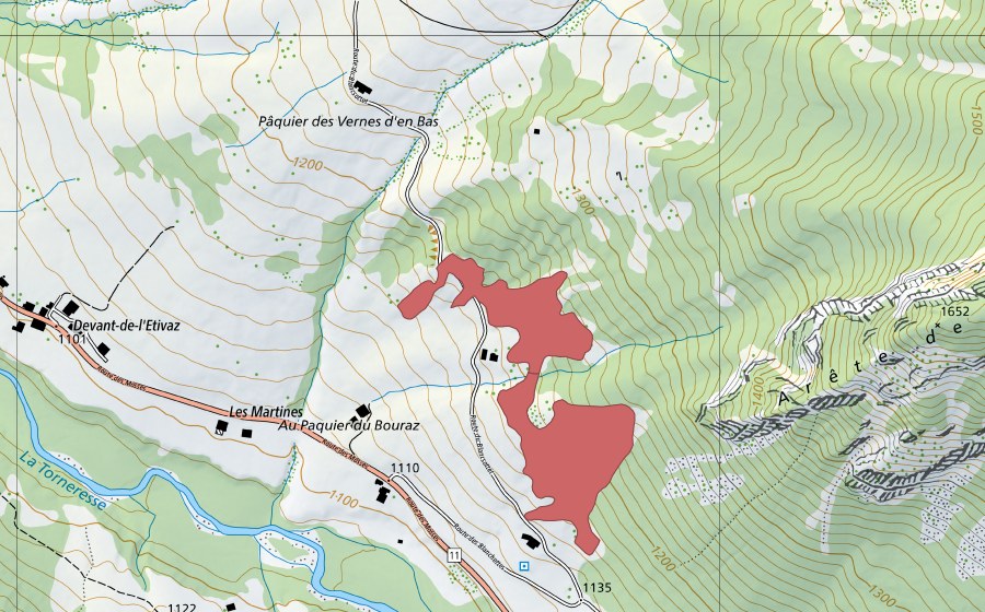 Landeskarte swisstopo mit dem Schutzperimeter von Le Boura (Trockenwiese)