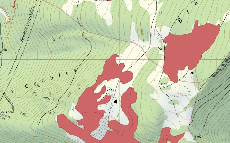 Landeskarte swisstopo mit dem Schutzperimeter von Le Brahon (Trockenwiese)