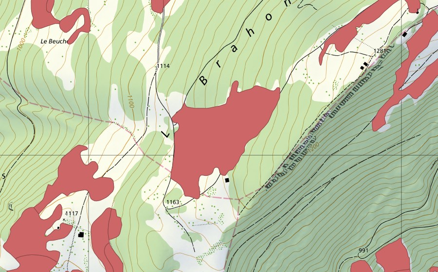Landeskarte swisstopo mit dem Schutzperimeter von Le Brahon (Trockenwiese)