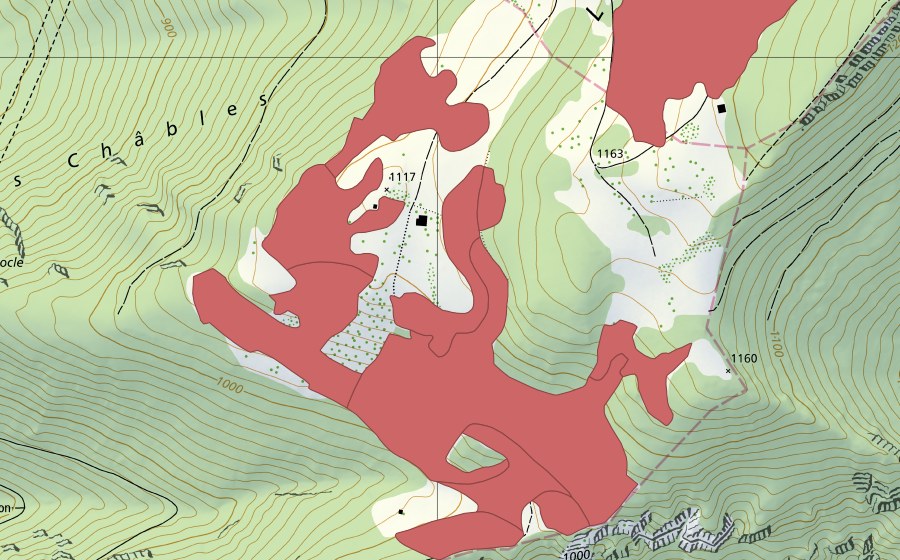 swisstopo national map showing the protected perimeter of Le Brahon (Dry meadow)