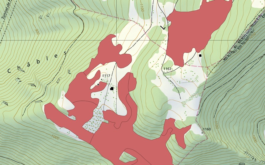 Carte nationale swisstopo avec le périmètre protégé de Le Brahon (Prairie sèche)