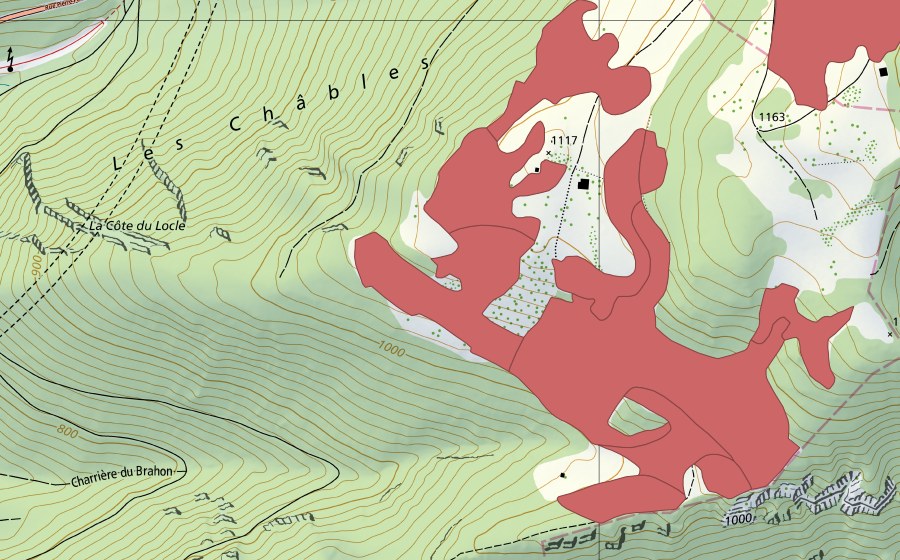 Landeskarte swisstopo mit dem Schutzperimeter von Le Brahon (Trockenwiese)