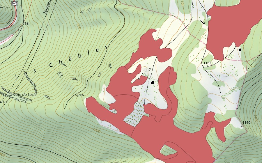 swisstopo national map showing the protected perimeter of Le Brahon (Dry meadow)