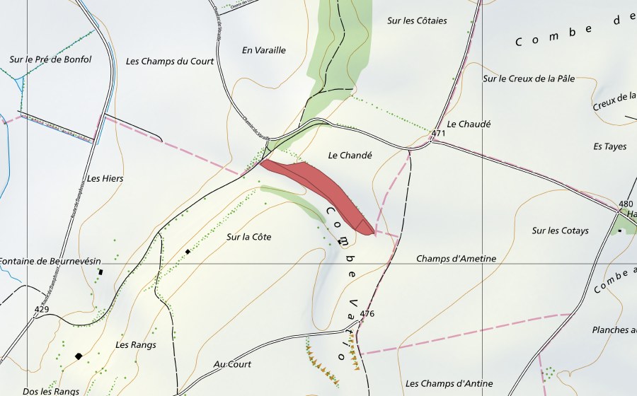 Landeskarte swisstopo mit dem Schutzperimeter von Le Chandé (Trockenwiese)