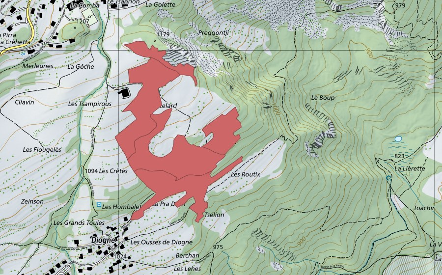 Landeskarte swisstopo mit dem Schutzperimeter von Le Châtelard (Trockenwiese)