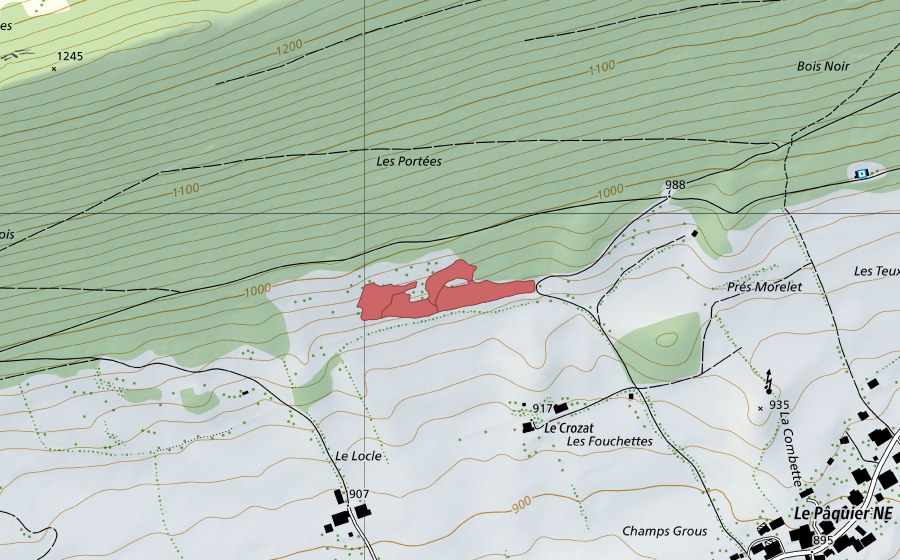 Carta nazionale swisstopo con il perimetro protetto di Le Crosat (Prato secco)