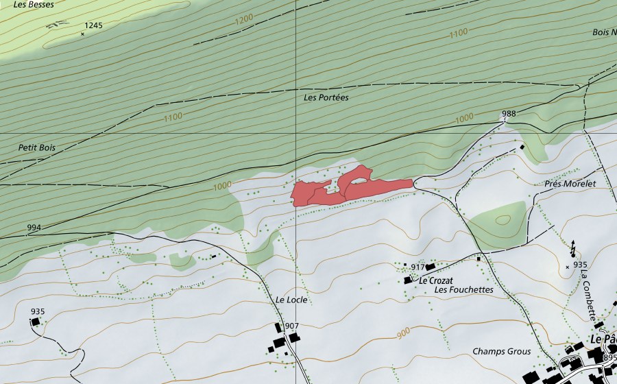 Landeskarte swisstopo mit dem Schutzperimeter von Le Crosat (Trockenwiese)