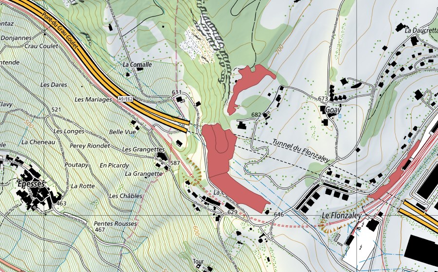 swisstopo national map showing the protected perimeter of Le Flonzaley (Dry meadow)