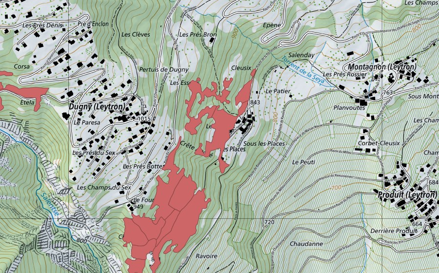 Landeskarte swisstopo mit dem Schutzperimeter von Le Four (Trockenwiese)