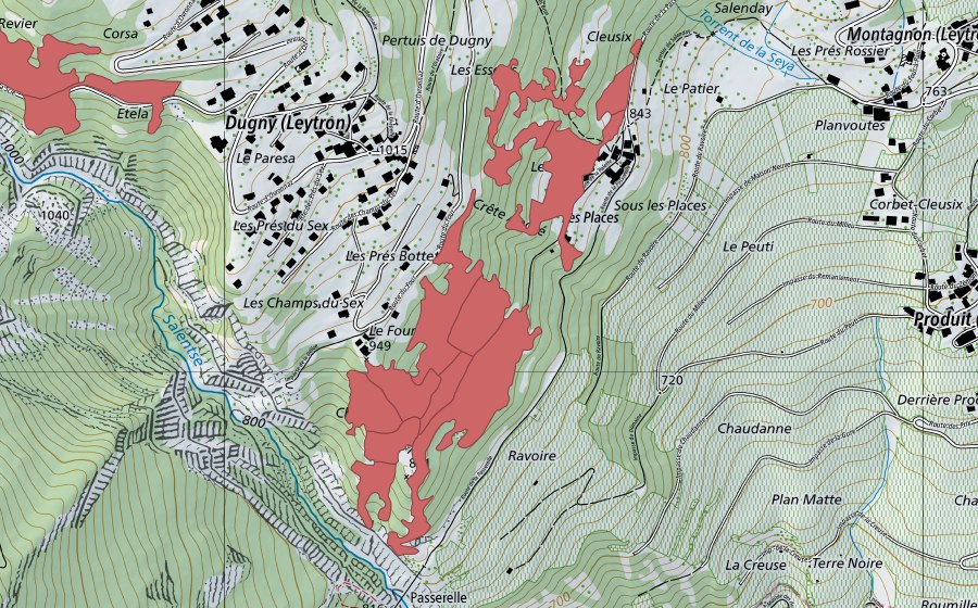 swisstopo national map showing the protected perimeter of Le Four (Dry meadow)