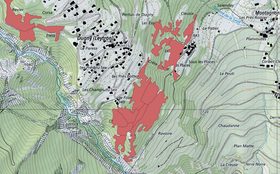 swisstopo national map showing the protected perimeter of Le Four (Dry meadow)