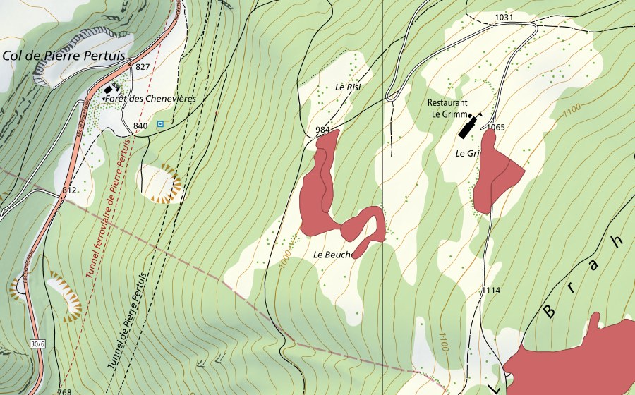 swisstopo national map showing the protected perimeter of Le Grimm (Dry meadow)