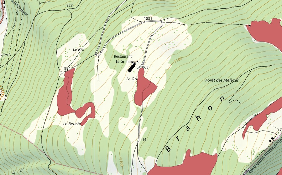 swisstopo national map showing the protected perimeter of Le Grimm (Dry meadow)