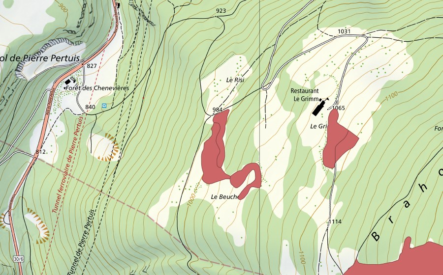 Carta nazionale swisstopo con il perimetro protetto di Le Grimm (Prato secco)