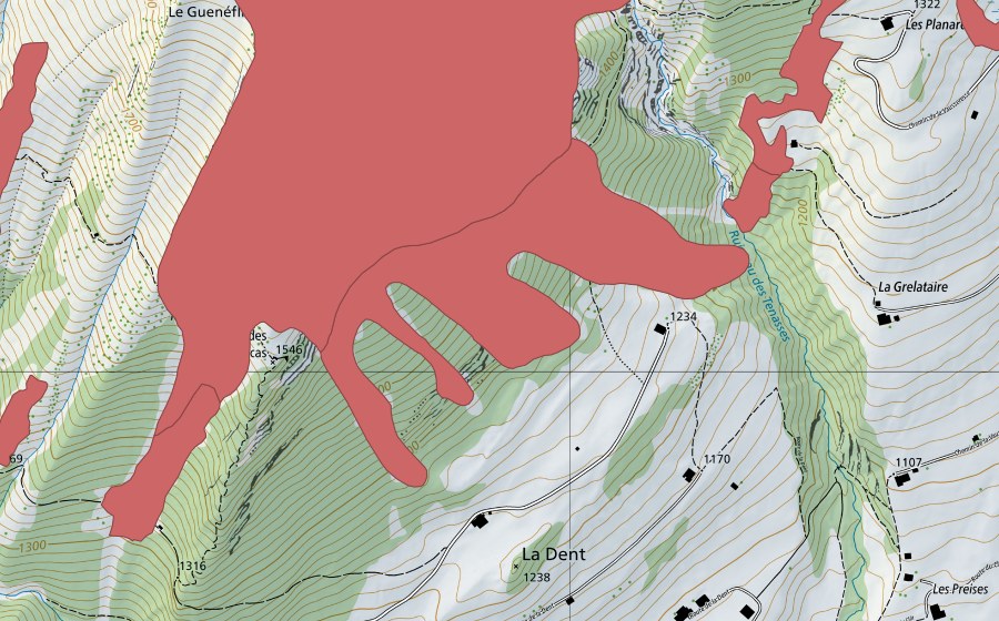 swisstopo national map showing the protected perimeter of Le Guenéflin (Dry meadow)