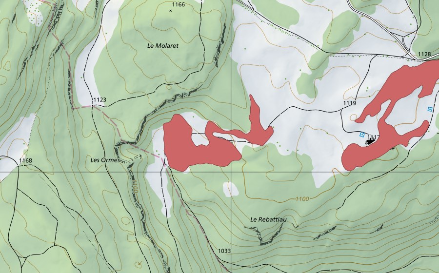 swisstopo national map showing the protected perimeter of Le Molaret (Dry meadow)