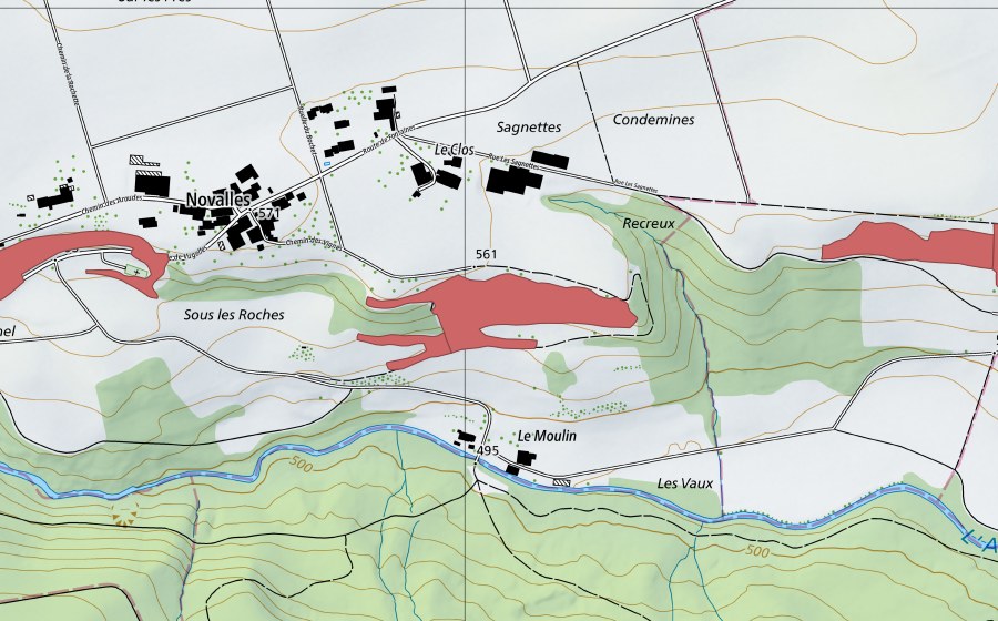 Landeskarte swisstopo mit dem Schutzperimeter von Le Moulin (Trockenwiese)