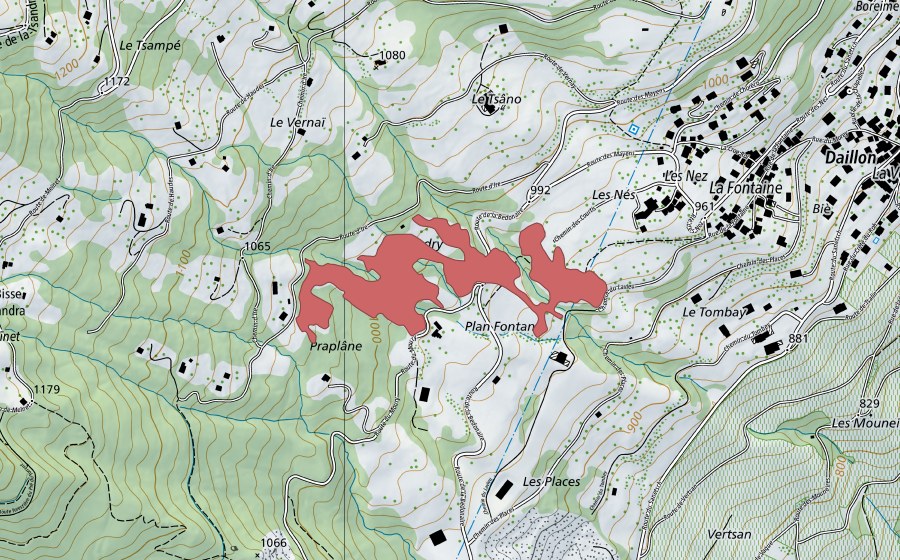 swisstopo national map showing the protected perimeter of Le Nez (Dry meadow)
