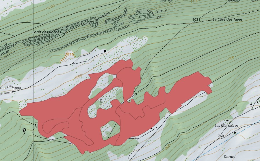 Landeskarte swisstopo mit dem Schutzperimeter von Le Piémont (Trockenwiese)