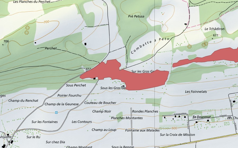 Landeskarte swisstopo mit dem Schutzperimeter von Le Poirtchet (Trockenwiese)