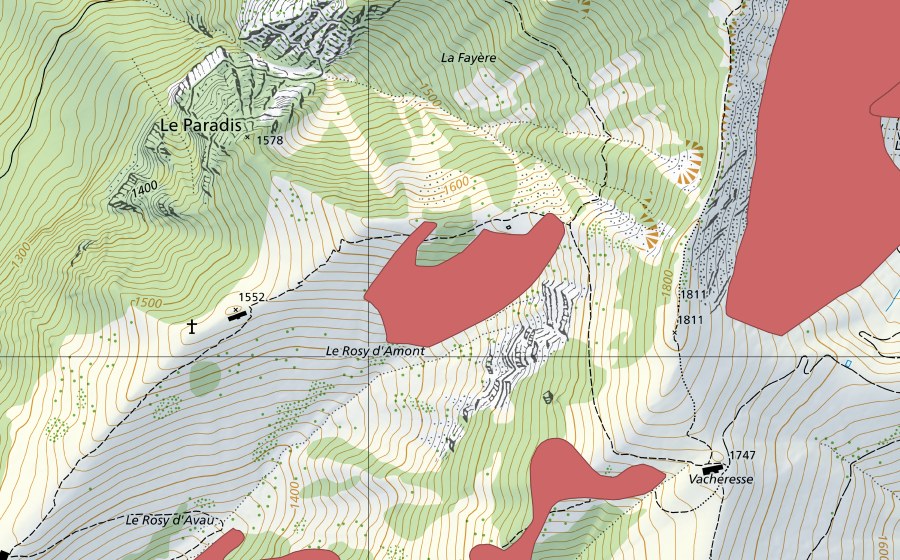 swisstopo national map showing the protected perimeter of Le Rosy d'Amont (Dry meadow)