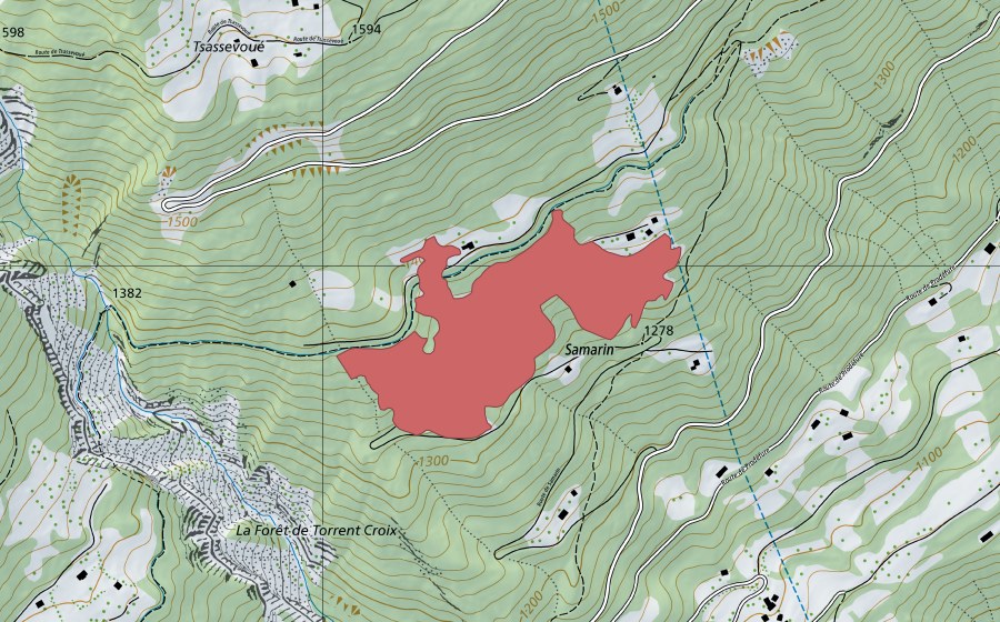 Carte nationale swisstopo avec le périmètre protégé de Le Samarin (Prairie sèche)