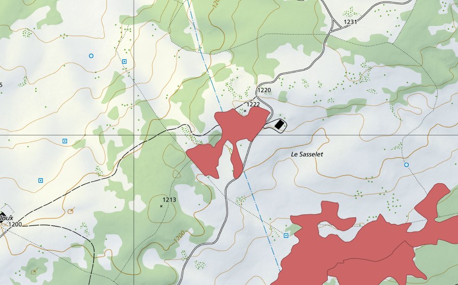 Landeskarte swisstopo mit dem Schutzperimeter von Le Sasselet (Trockenwiese)