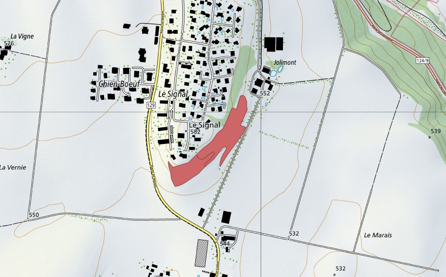 Landeskarte swisstopo mit dem Schutzperimeter von Le Signal (Trockenwiese)
