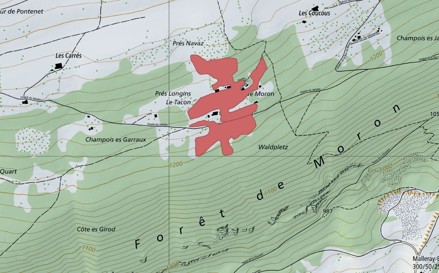 Landeskarte swisstopo mit dem Schutzperimeter von Le Tacon (Trockenwiese)